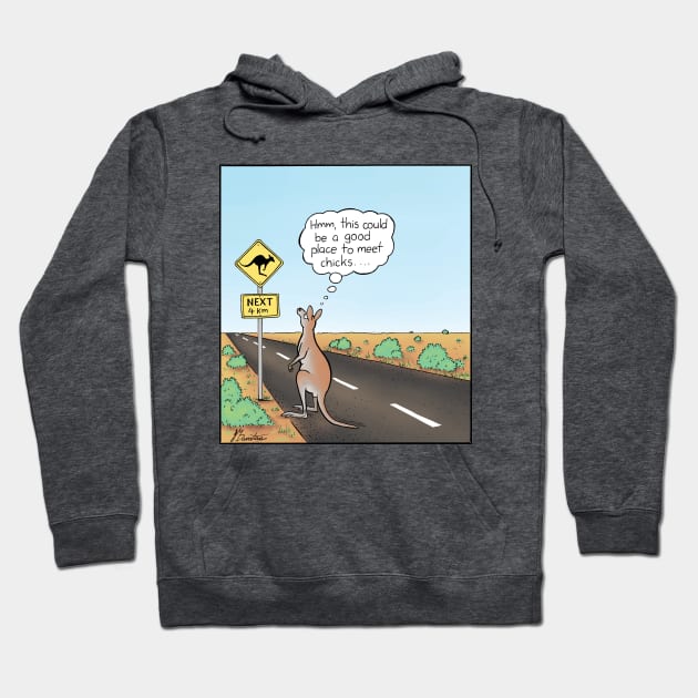 Kangaroo wants to meet females Hoodie by JedDunstan